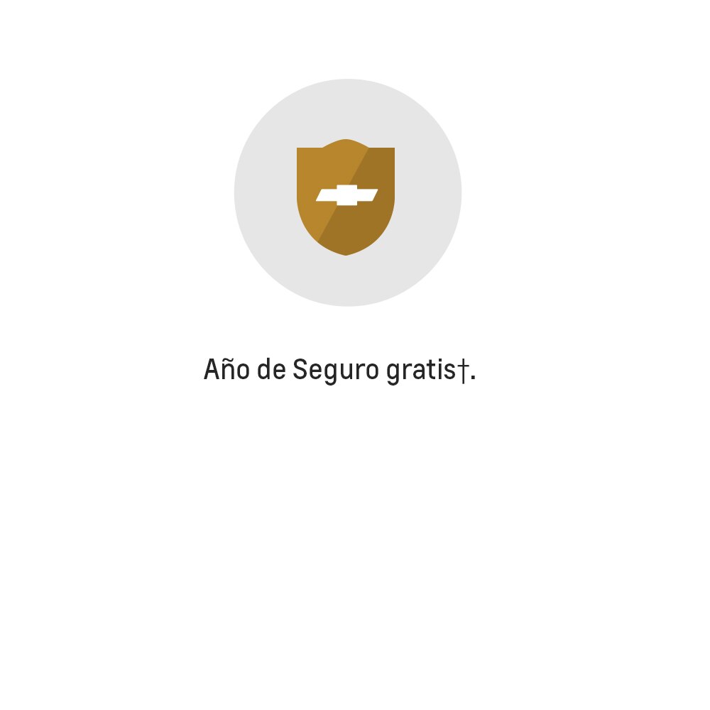 Icono para año de seguro gratis